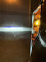 AlphaRex 880101 NOVA Series Chrome LED Headlights | 2017-2019 Ford F250/F350
