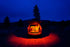 Baja Designs 398054 Red LED Dome Light with Switch | Universal