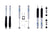Bilstein ALG-14-18RAM3500BTRLVLBIL 5100 Series Front & Rear Shock Package | 2014-2018 RAM 3500 4WD