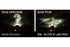 Diode Dynamics DD6835 SS3 Max White SAE LED Fog Light Kit | 2020-2023 Silverado 2500HD/3500HD