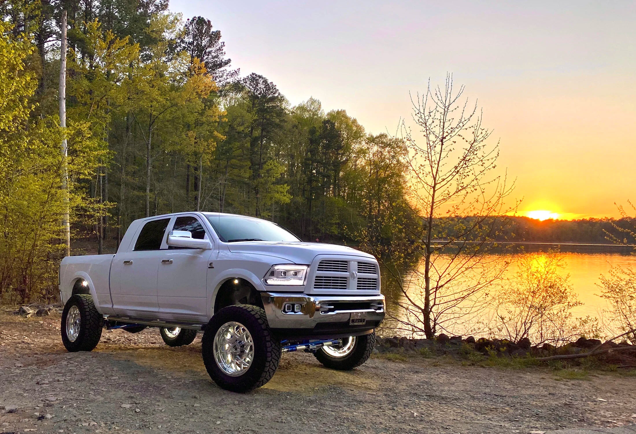 PPE 138051005 Drain Plug - Stainless Steel 1/2 inch ORB -6AN 9/16in-18 with Magnet | Universal