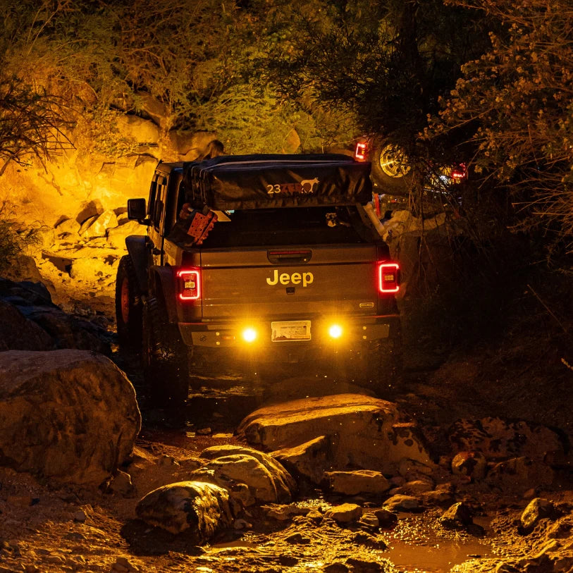 Nacho V3FM2 Universal Reverse Kit - Amber (Pair) | Universal