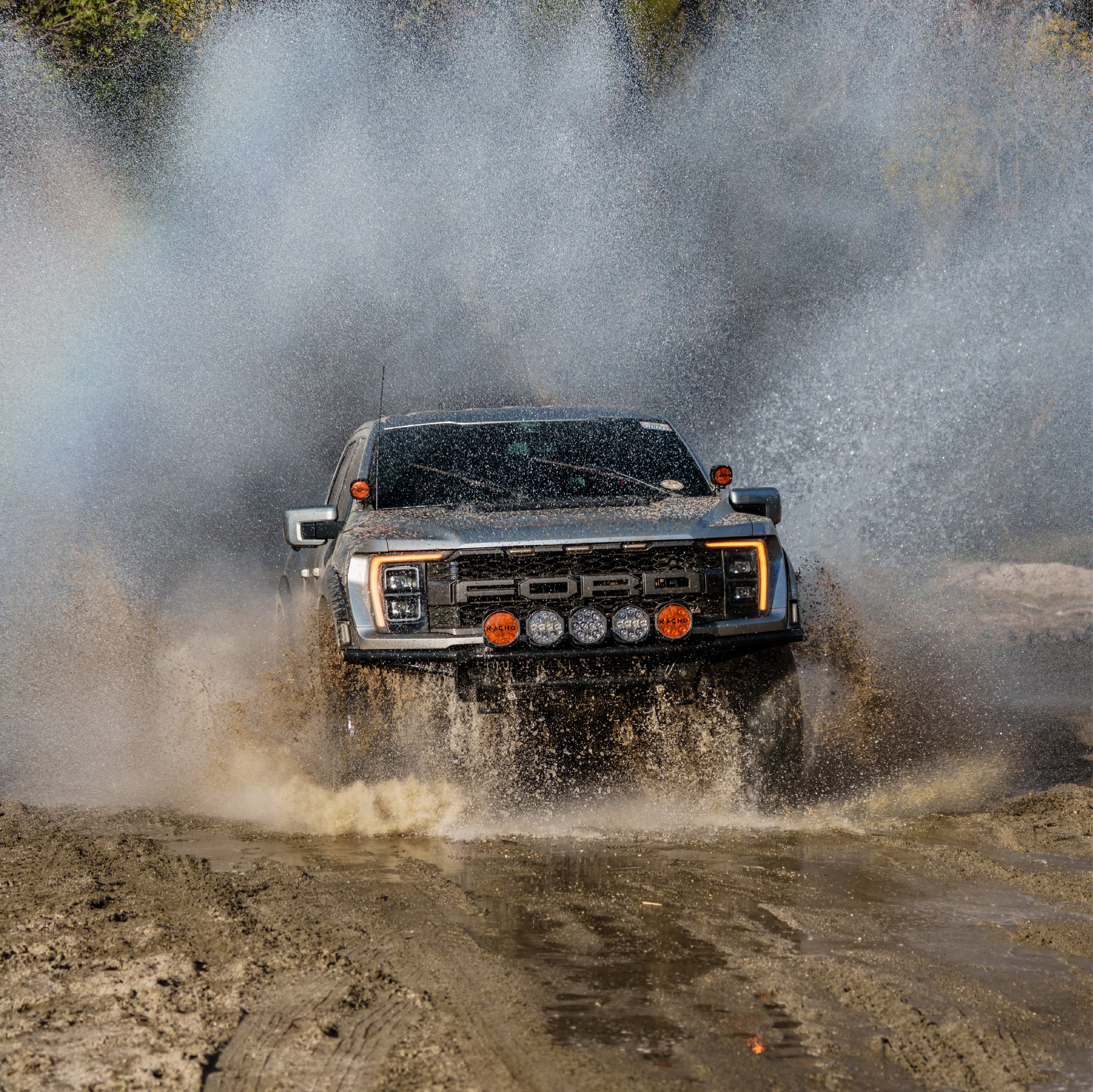 Nacho PM611 Grande 4 Lo - 6.75” inch Light | Universal