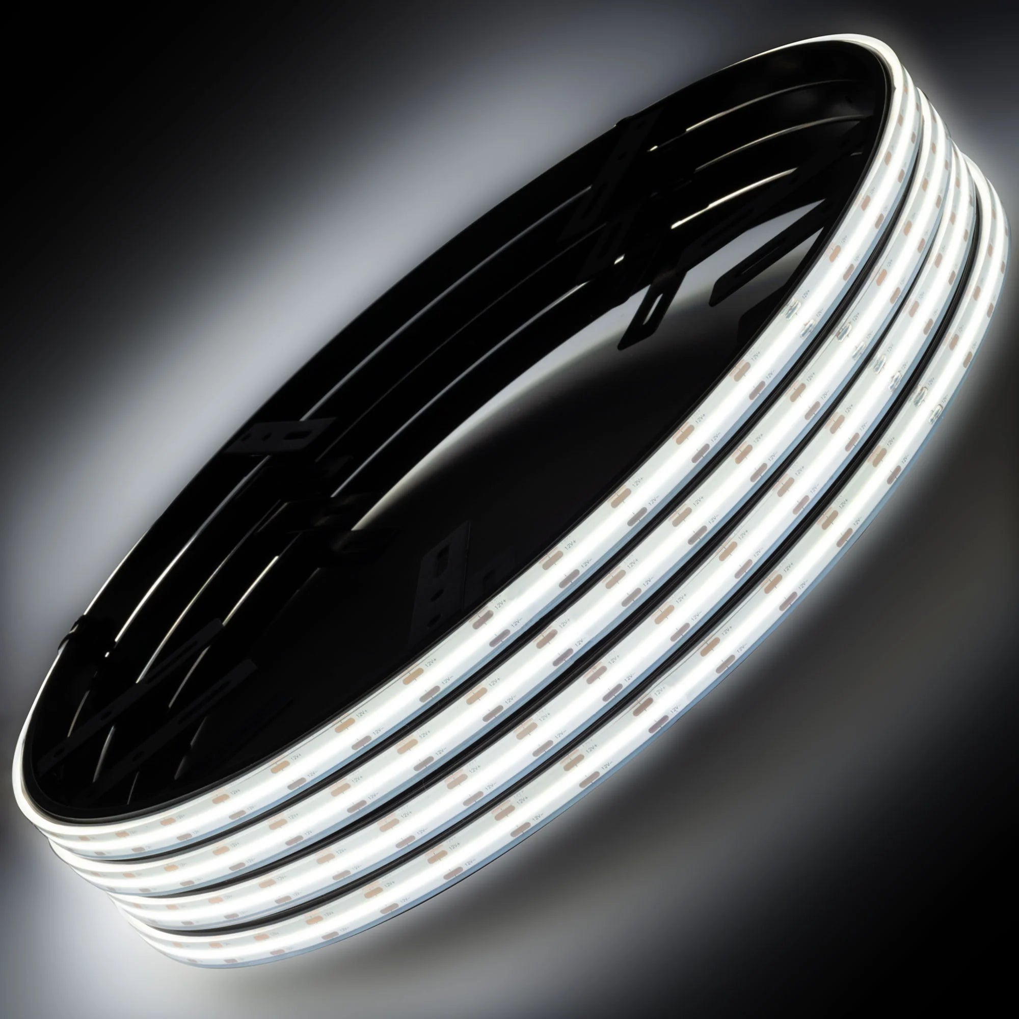 Oracle 4238-051 Plasma White LED Wheel Rings | Universal