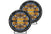 Rigid 36206 360-Series 6 LED Off-Road Lights with Amber Backlight | Universal