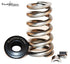 Hamilton Cams 07-S-001 Performance 12 Valve Springs | 1989-1998 Dodge RAM 2500/3500 Cummins