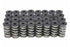 Wagler C6643 Dual Valve Spring Kit with Steel Retainers | 2001-2010 GM Silverado/Sierra 2500HD/3500HD 6.6L Duramax