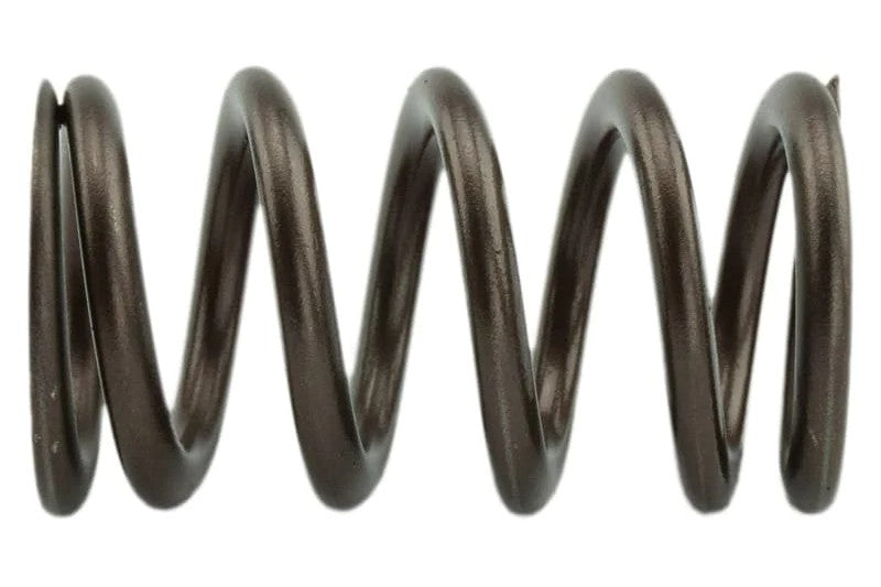 Industrial PDM-160-1484S-24 95LB Valve Springs | 2003-2007 Dodge RAM 2500/3500 5.9L 24V Cummins