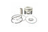 Industrial PDM-360STD Precision Machined OEM Spec Piston Kit STD | 2001-2016 GM Silverado/Sierra 2500HD/3500HD 6.6L Duramax