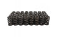 Powerstroke Products PP-6.7S-VS Scorpion Valve Springs | 2011-2016 Ford F250/F350 6.7L Powerstroke